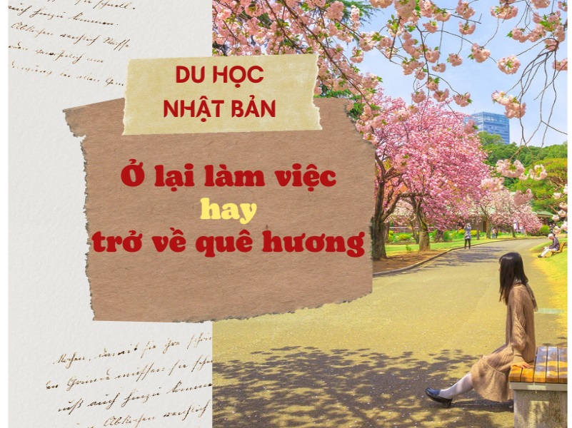 đi du học nhật bản về việt nam làm gì 26 tai đi du học nhật bản về việt nam làm gì
